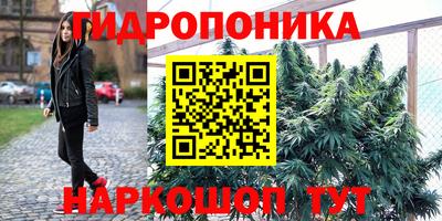 твердый Гусь-Хрустальный